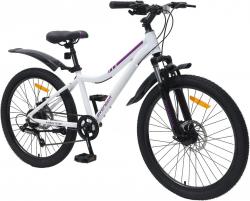 Велосипед Avenger A241DW 24 (2025) - фото