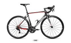 Шоссейный велосипед Guerciotti Cartesio 105 Rim (2022) - фото