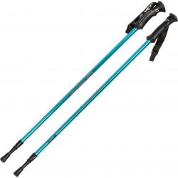 Скандинавские палки Tech Team Yeti - фото