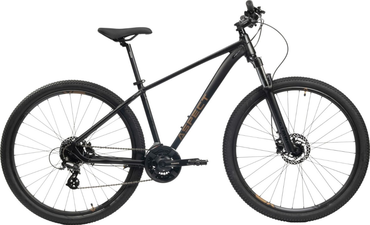 Aspect Nickel 29 (2024)