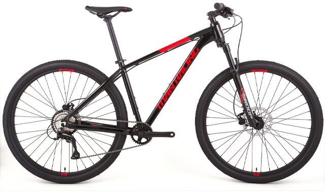 Titan Racing Rogue SE 29 (2024)