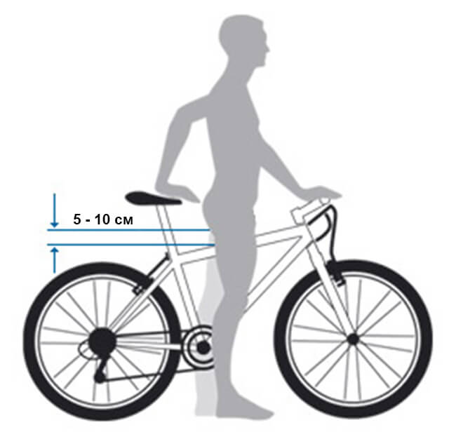 Какого размера должен быть велосипед. Велосипед по росту. Высота сиденья велосипеда. Высота сиденья горного велосипеда. Правильная посадка на велосипеде.