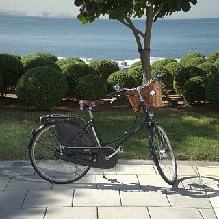 Велосипед Pashley Princess Sovereign 5 28 - фото