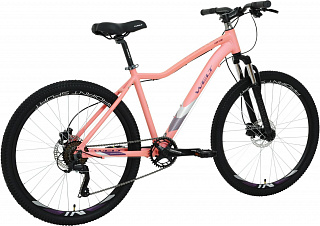 Велосипед Welt Floxy 1.0 HD 26 Promo (2023) - фото