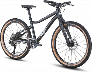 Велосипед Hagen Teen Pro 24 Carbon (2025) - фото