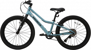 Велосипед Maxiscoo 5BIKE 24 L (2024) - фото