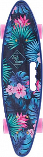 Скейтборд круизер Tech Team Fishboard 23 Print (Mini) - фото