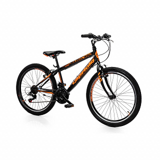 Велосипед CAPRIOLO RAPID 240 24'' (2023) - фото