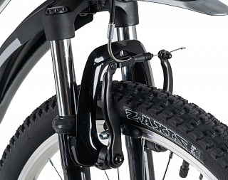 Stinger Caiman 24" (2020) - фото