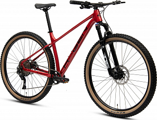 Велосипед Hagen Three Ten (3.10) 29" (2024) - фото