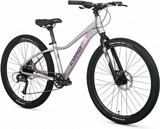 Велосипед Cord 5 Bike 300 Стандарт 26 (2025) - фото